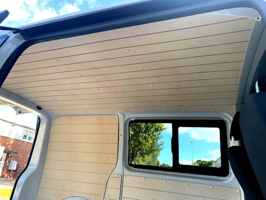 T5 T6 Dachverkleidung Plankenhimmel Birke