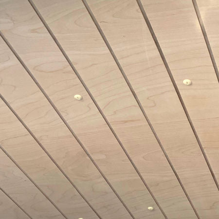 T5 T6 Seitenverkleidung 6 mm Planken Birke kurzer Radstand L1