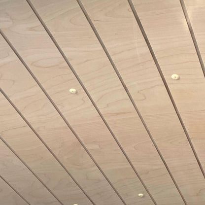 T5 T6 Seitenverkleidung 6 mm Planken Birke kurzer Radstand L1